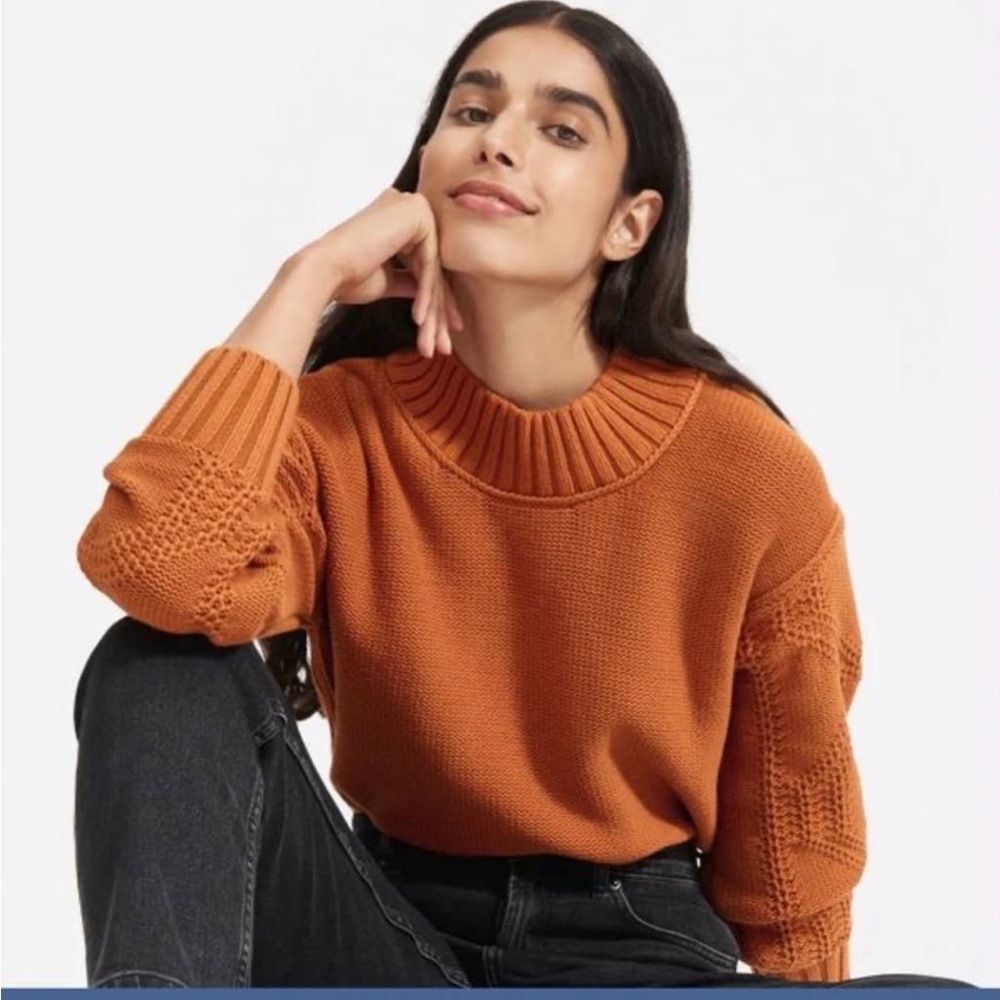 Everlane Texture Cotton Cable Sweater - Cider